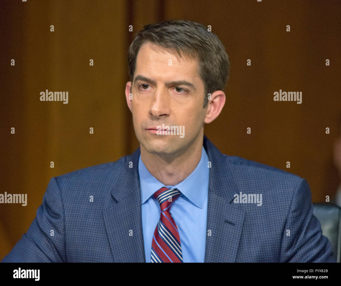 Tom Cotton High Resolution Stock Photography And Images Alamy