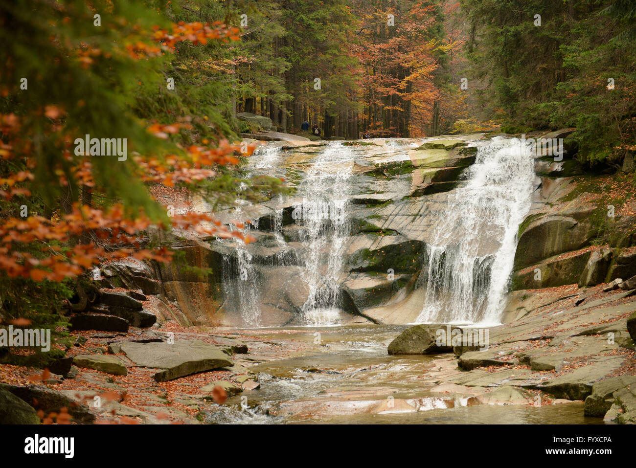 Mumlava Waterfall, Mumlavsky vodopad, Harrachov, Giant Mountains, Czechia / Karkonosze Mountains Stock Photo