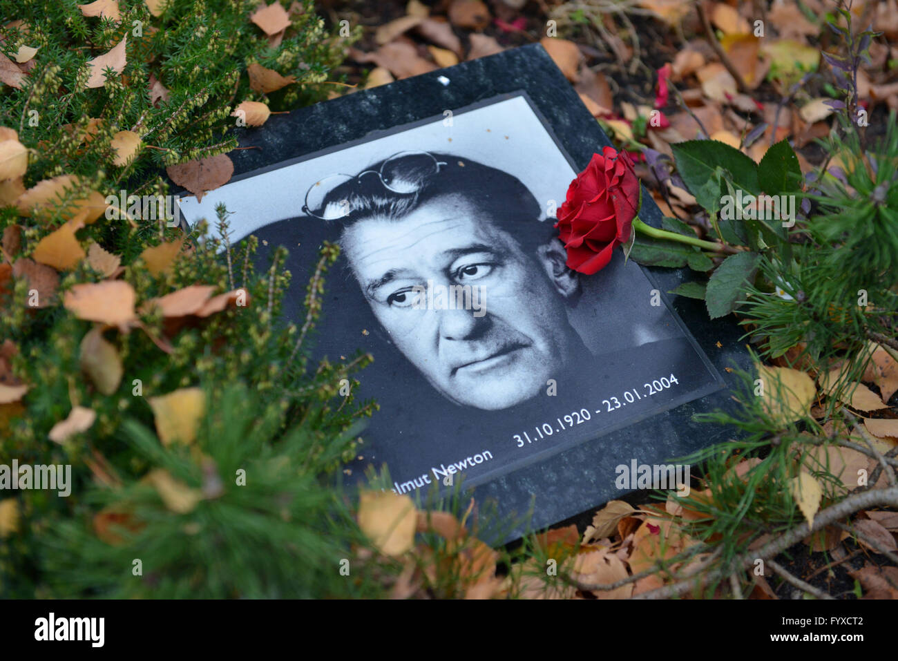 Tombstone, grave of Helmut Newton, rose, photo, Stadtischer Friedhof III, Stubenrauchstrasse, Tempelhof-Schoneberg, Friedenau, Berlin, Germany / Städtischer Friedhof III, Tempelhof-Schöneberg Stock Photo