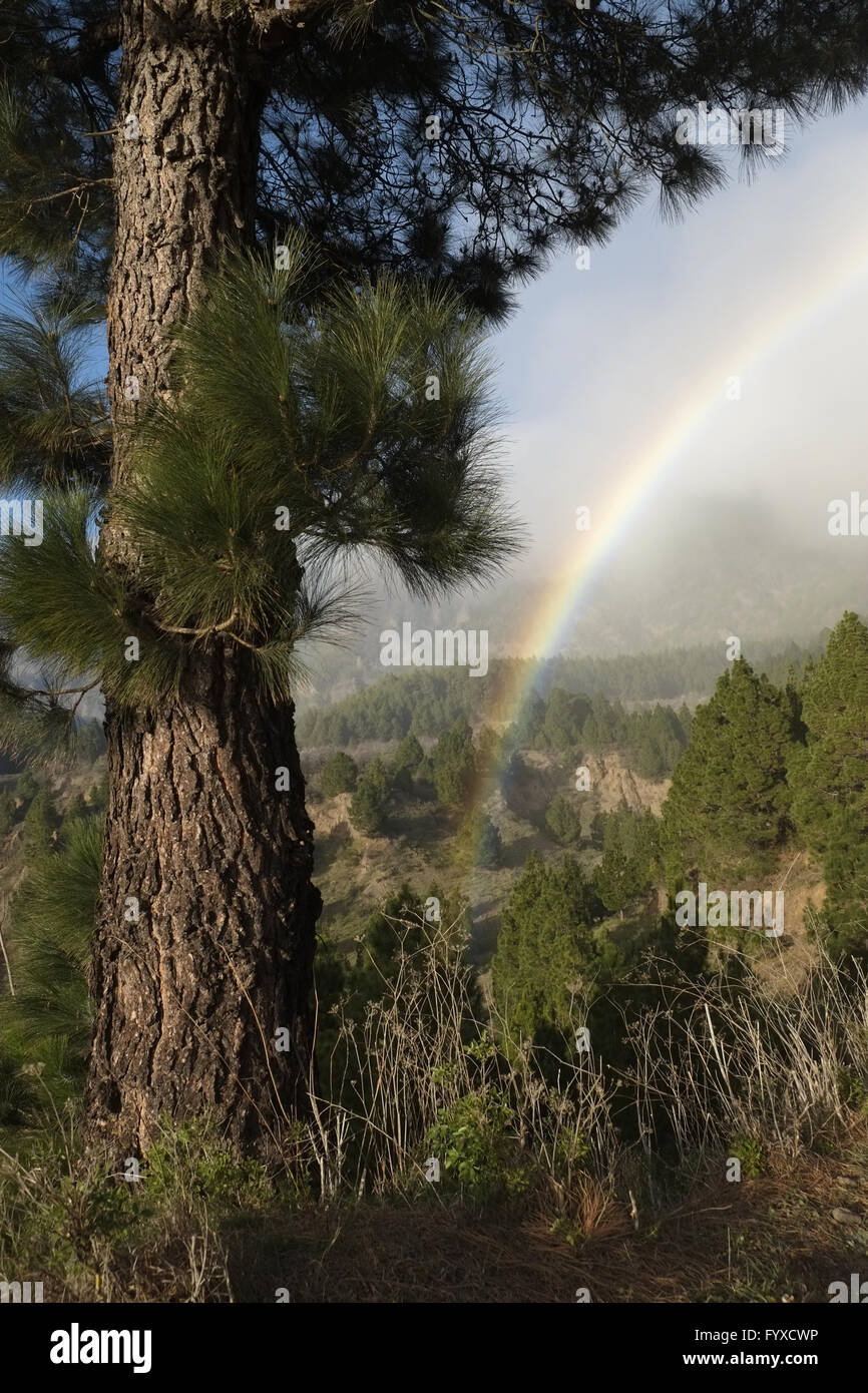 Rainbow on La Palma Stock Photo