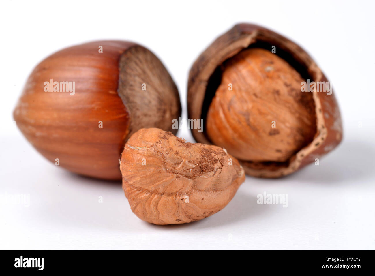 Hazelnuts, cracked Stock Photo