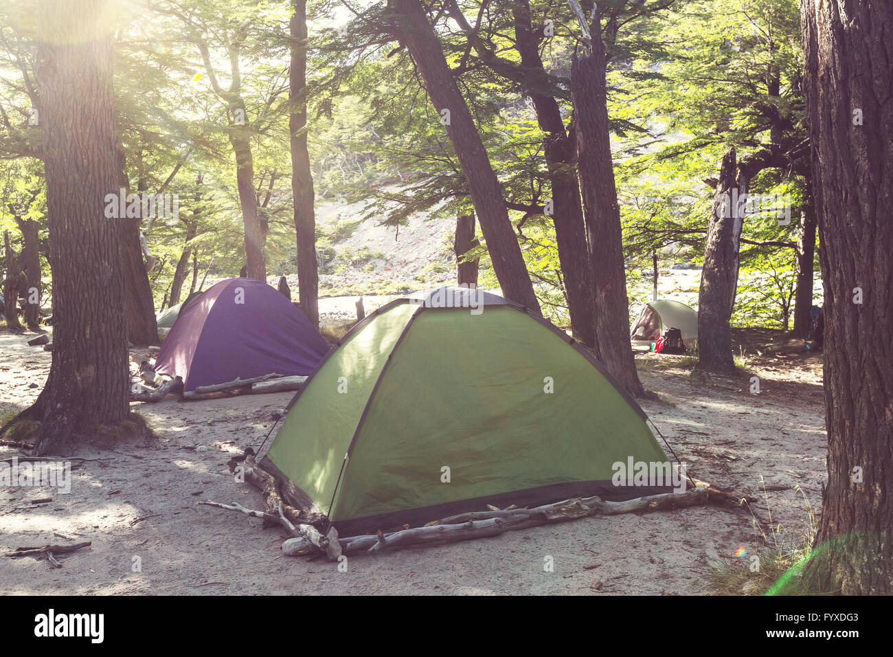 Tent in the forest Stock Photo - Alamy