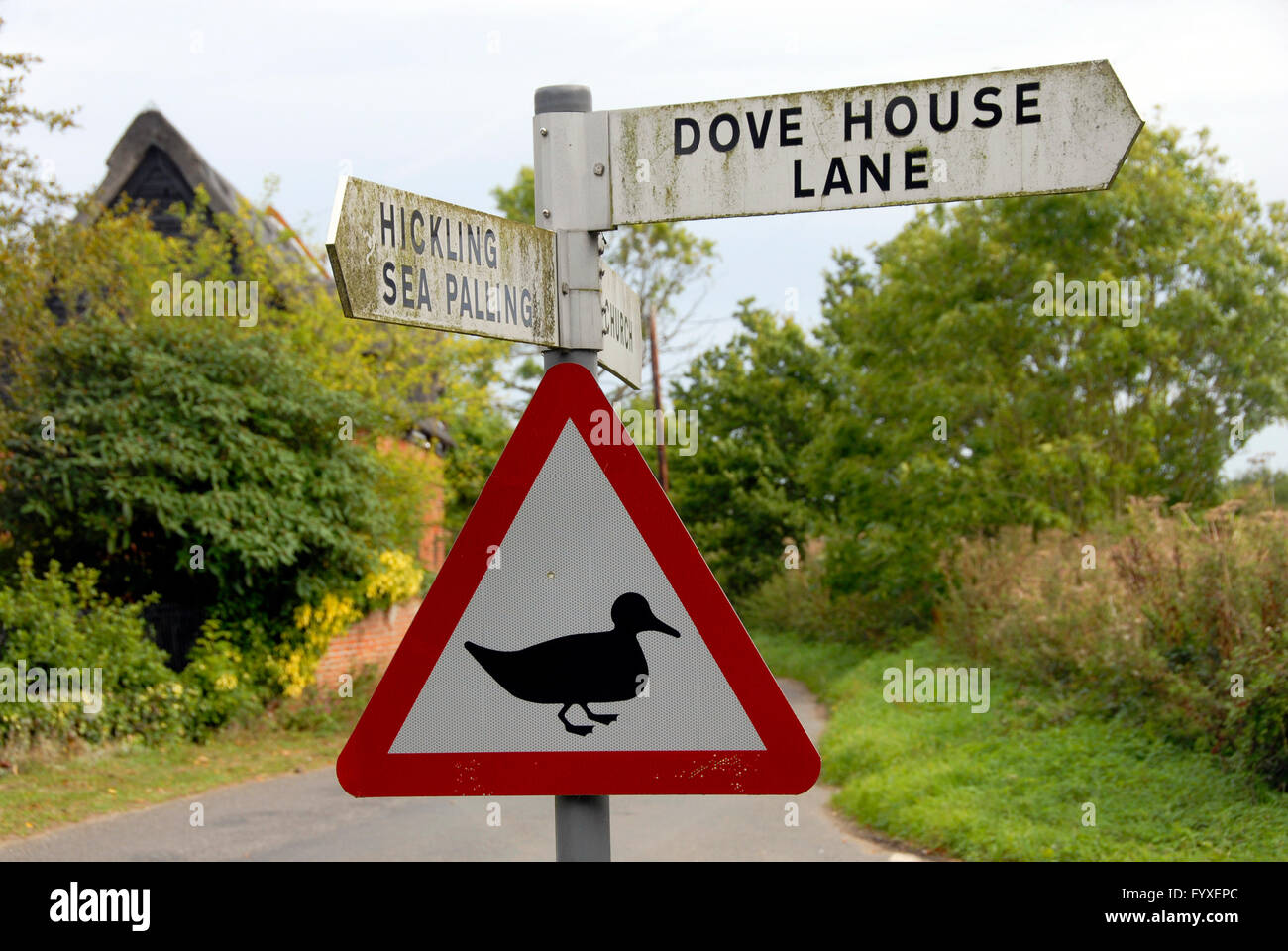 Signpost with duck in rural Norfolk Stock Photo
