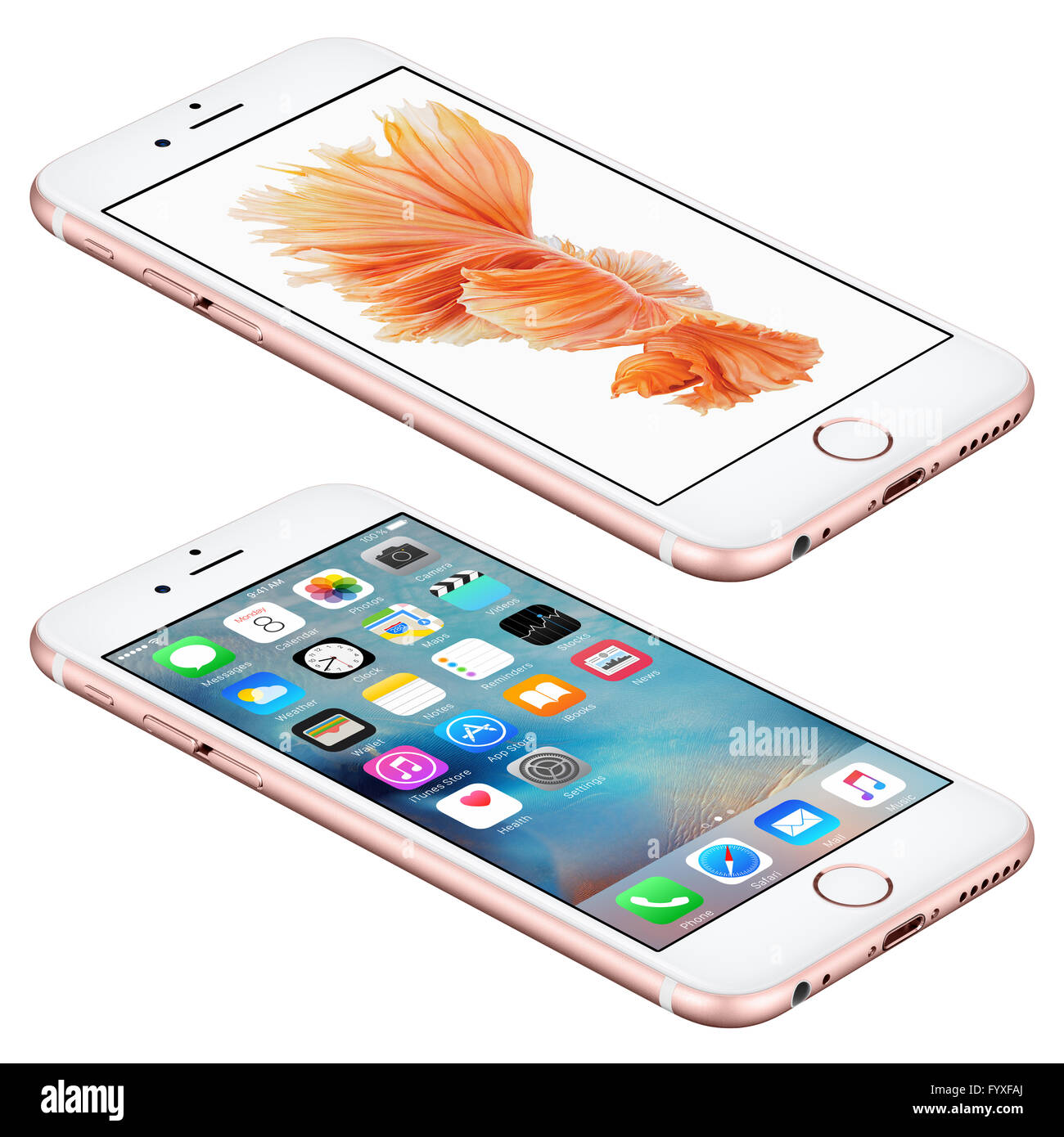 Varna, Bulgaria - October 25, 2015: Rose Gold Apple iPhone 6S lies on the surface with iOS 9 mobile operating system Stock Photo