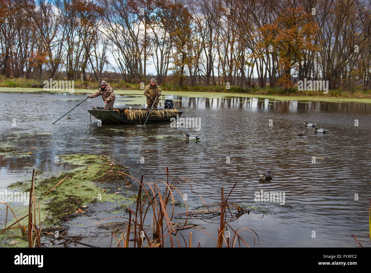 Mississippi Duck Hunt Stock Photo Alamy