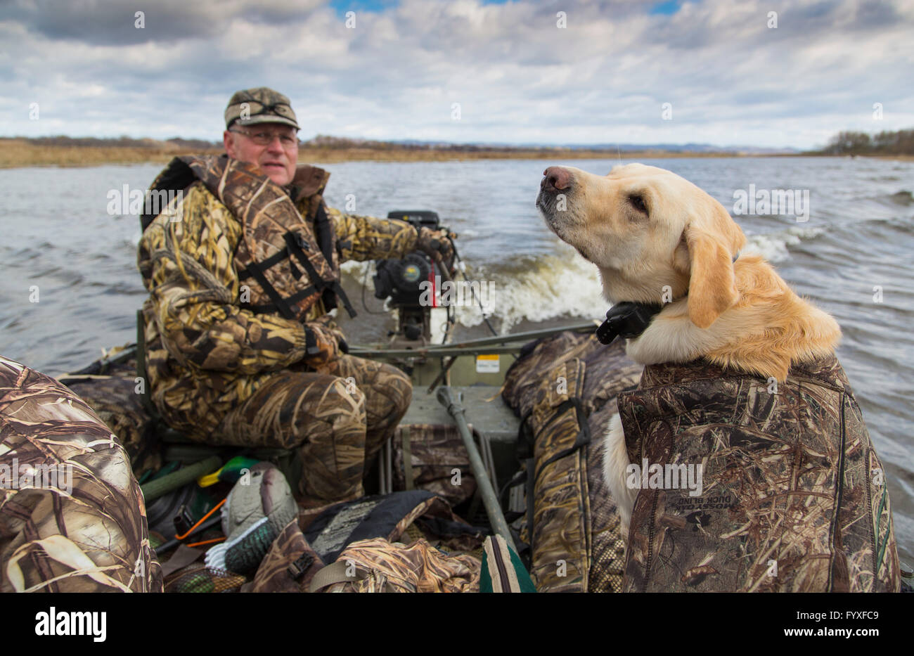 Mississippi Duck Hunt Stock Photo Alamy