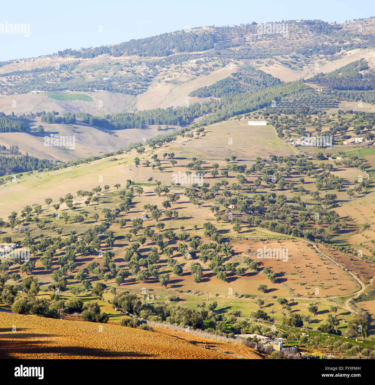 from high in the village morocco africa field and constructions Stock ...