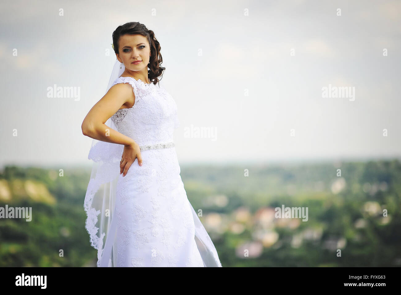 Bride posed over cliff Stock Photo