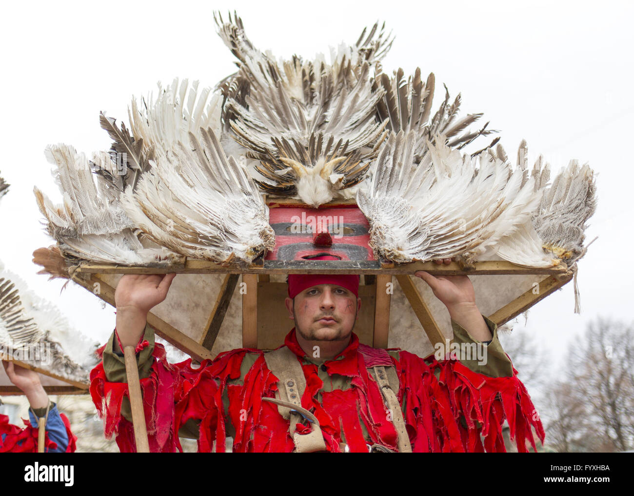 Feather mask costume Stock Photo Alamy
