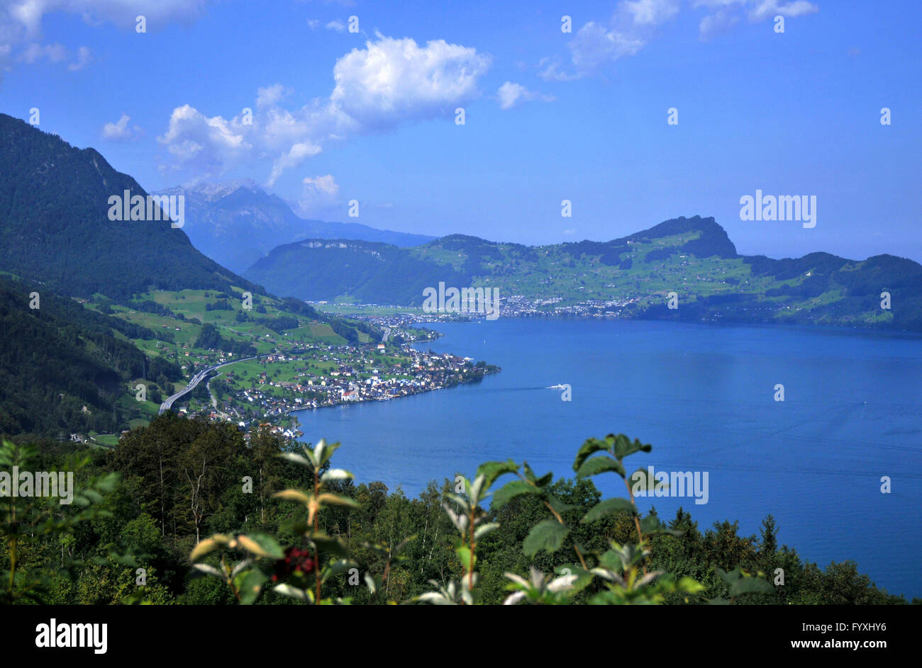 Lake Lucerne, Mount Burgenstock, Beckenried, Nidwalden, Switzerland / Vierwaldstattersee, Vierwaldstättersee, Lake of the Four Forested Cantons, Bürgenstock Stock Photo