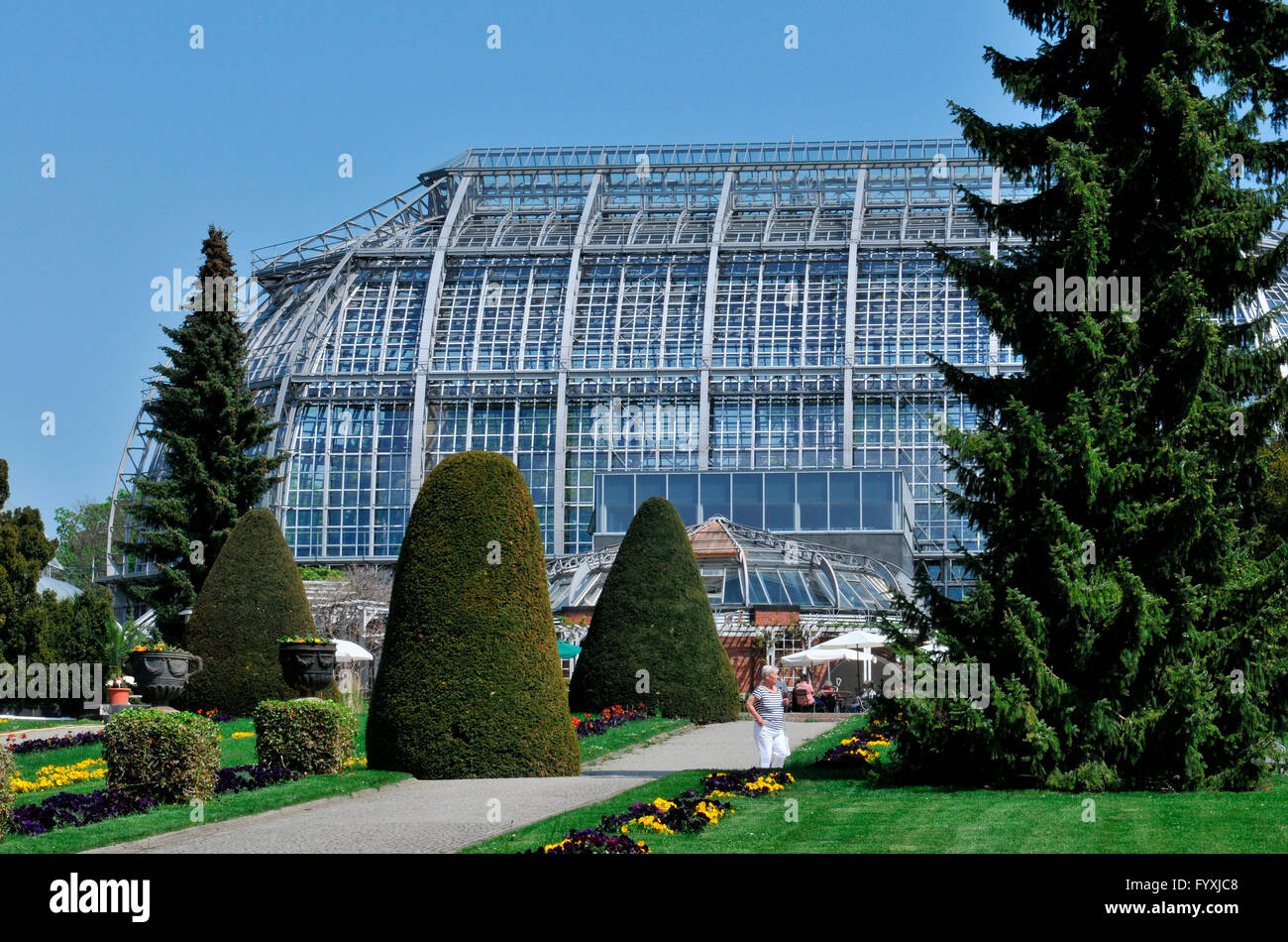 Great Greenhouse, Grosses Tropenhaus, botanical garden, Dahlem, Berlin