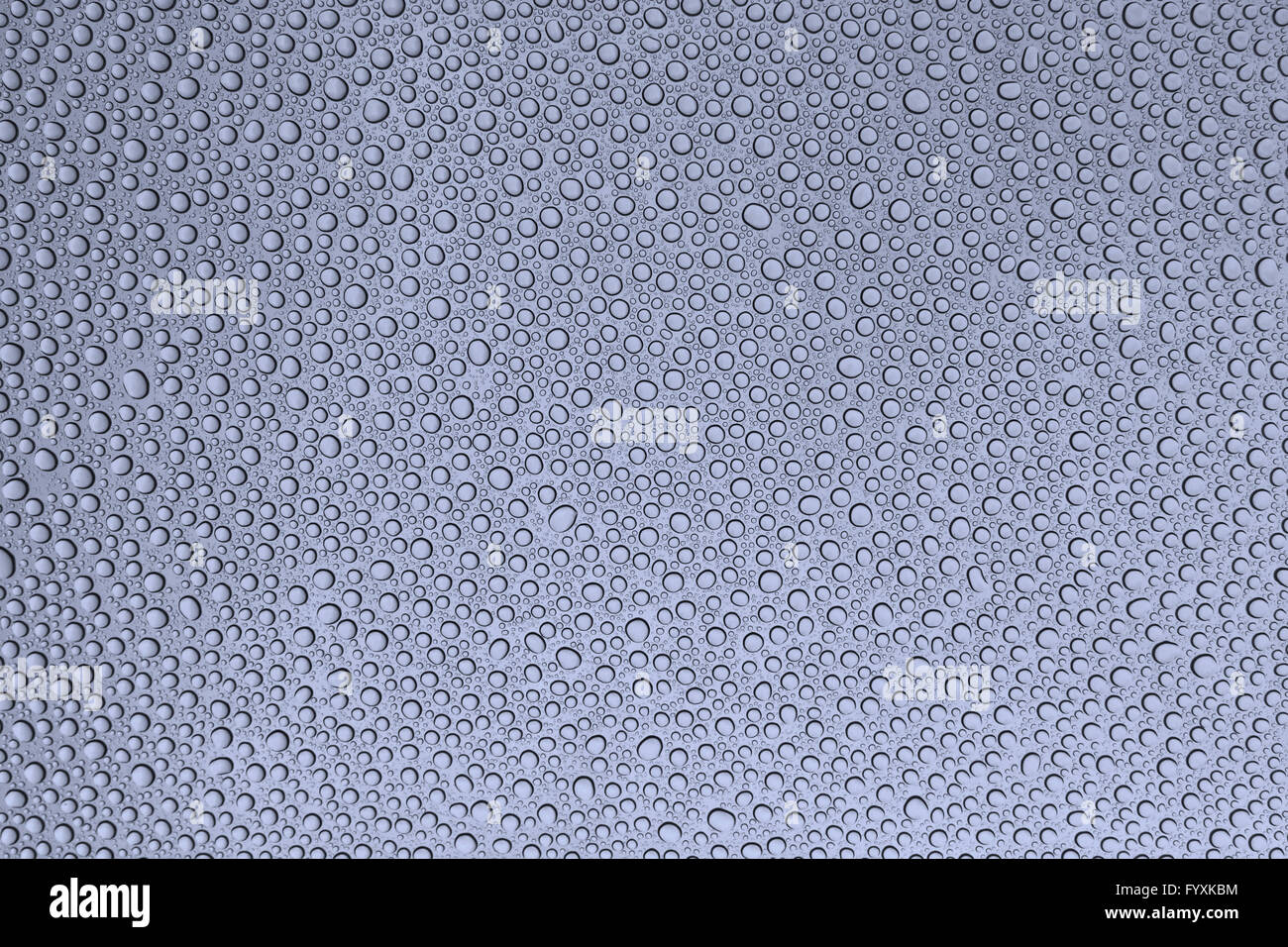 Window tint hires stock photography and images Alamy