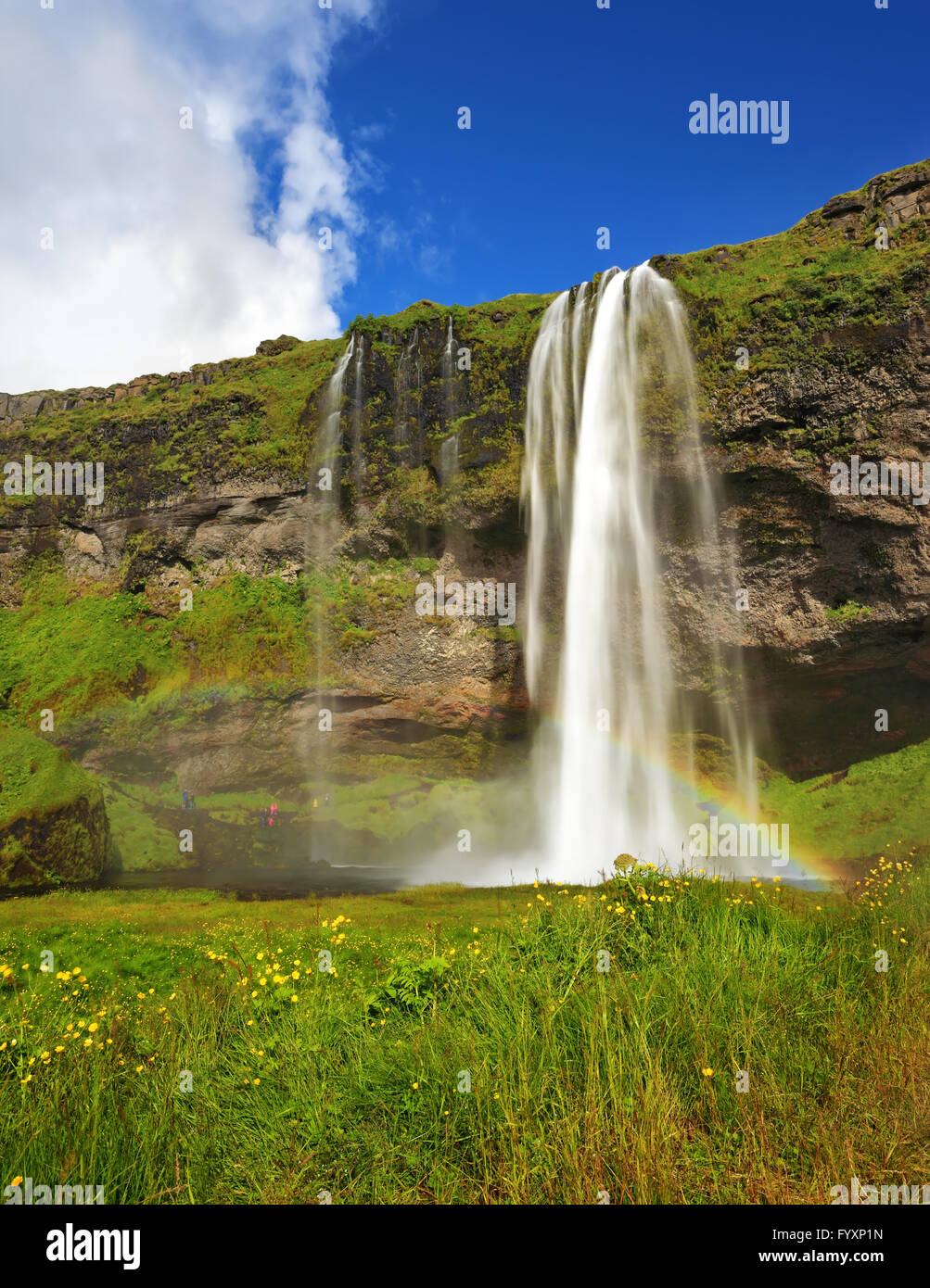 Summer sunny day Stock Photo - Alamy