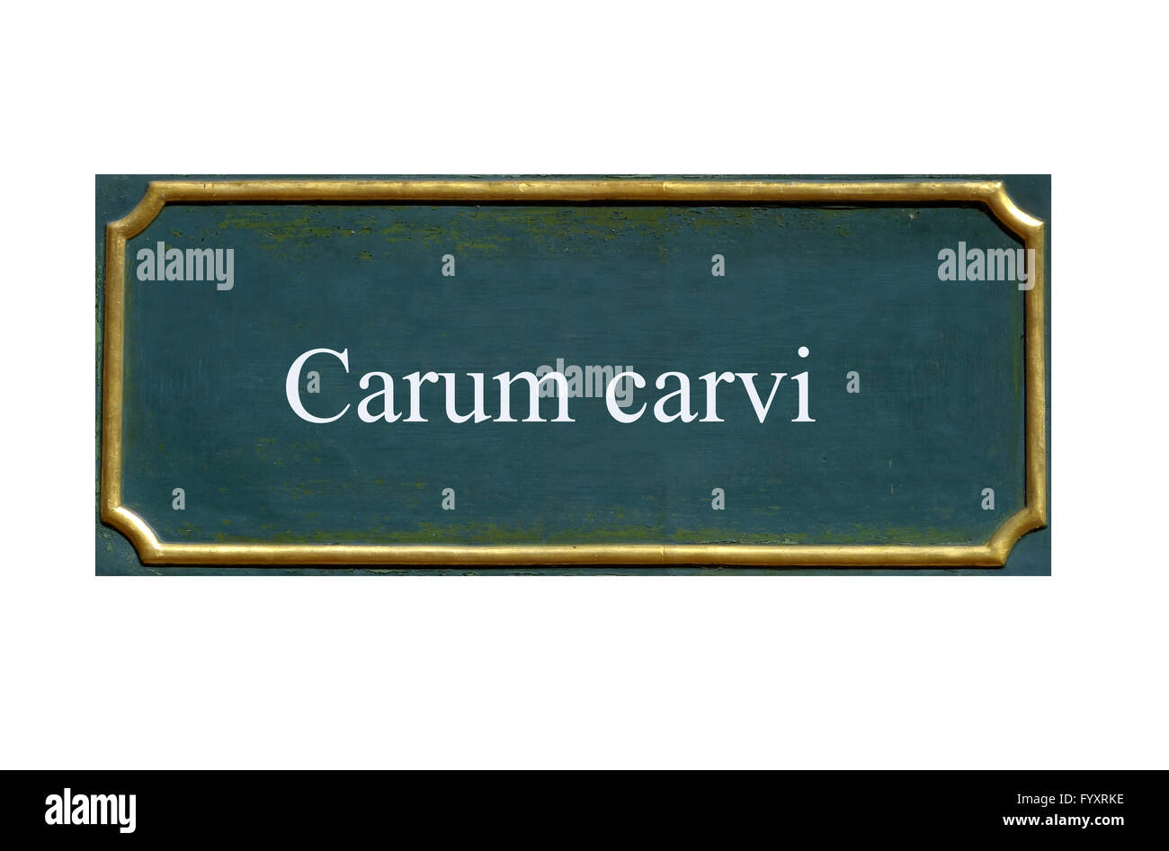 shield carum carvi Stock Photo