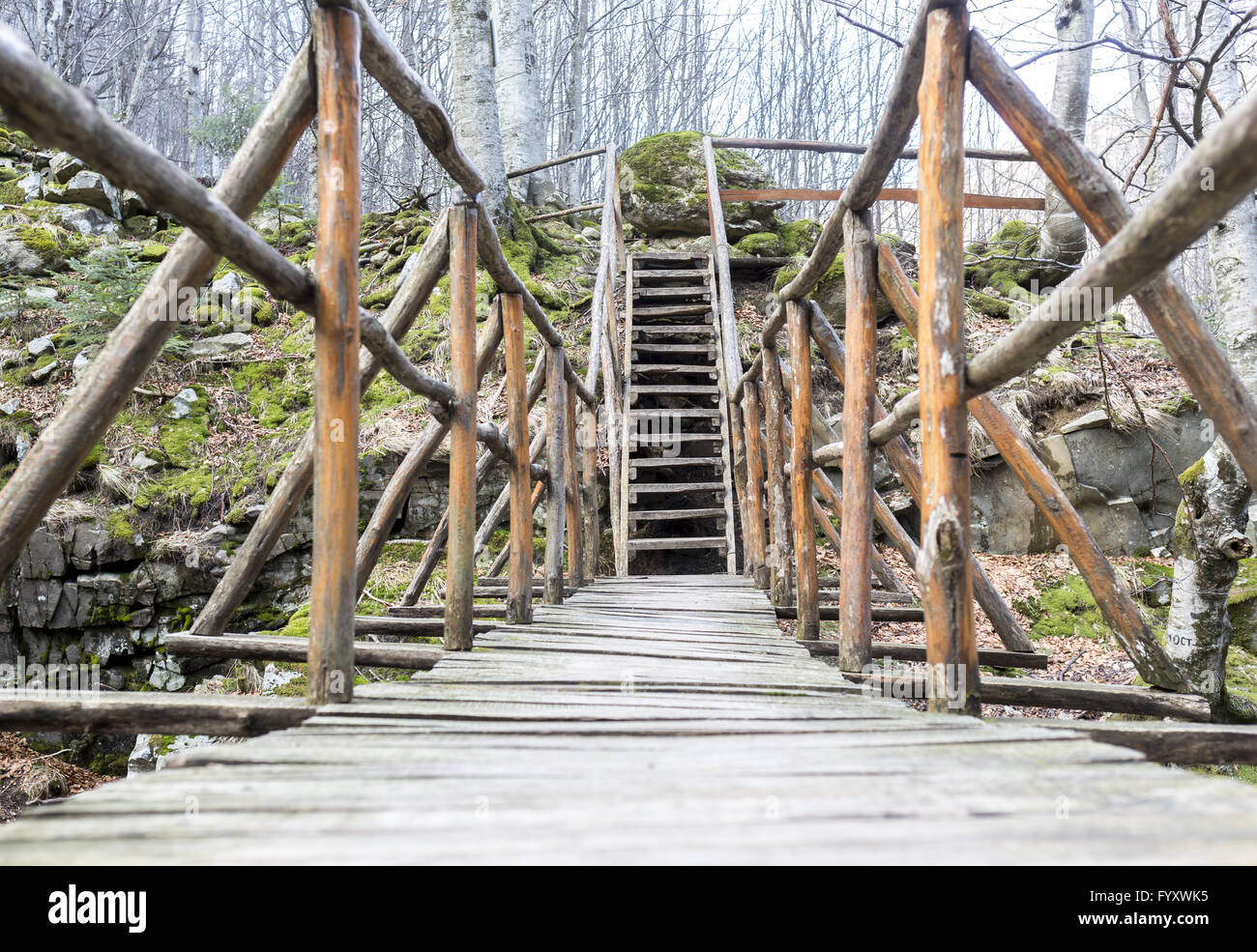 Mountain stream timber bridge hi-res stock photography and images - Alamy
