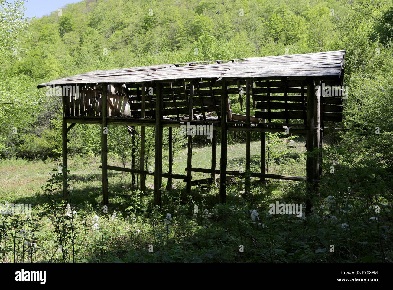 Shelter in the woods hires stock photography and images Alamy