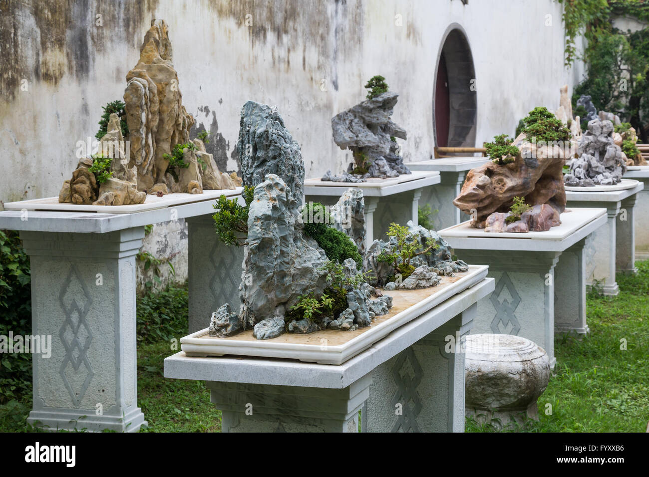 Bonsai trees in Classical garden in Suzhou, China Stock Photo Alamy