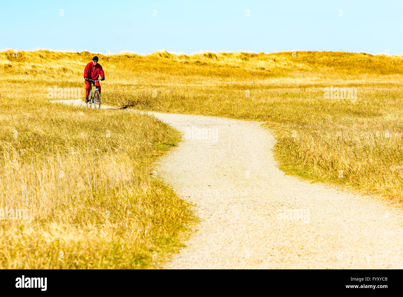 Falsterbo, Sweden - April 11, 2016: Male adult cycling at the hiking trail Skaneleden on a winding part at the coast with dry gr Stock Photo