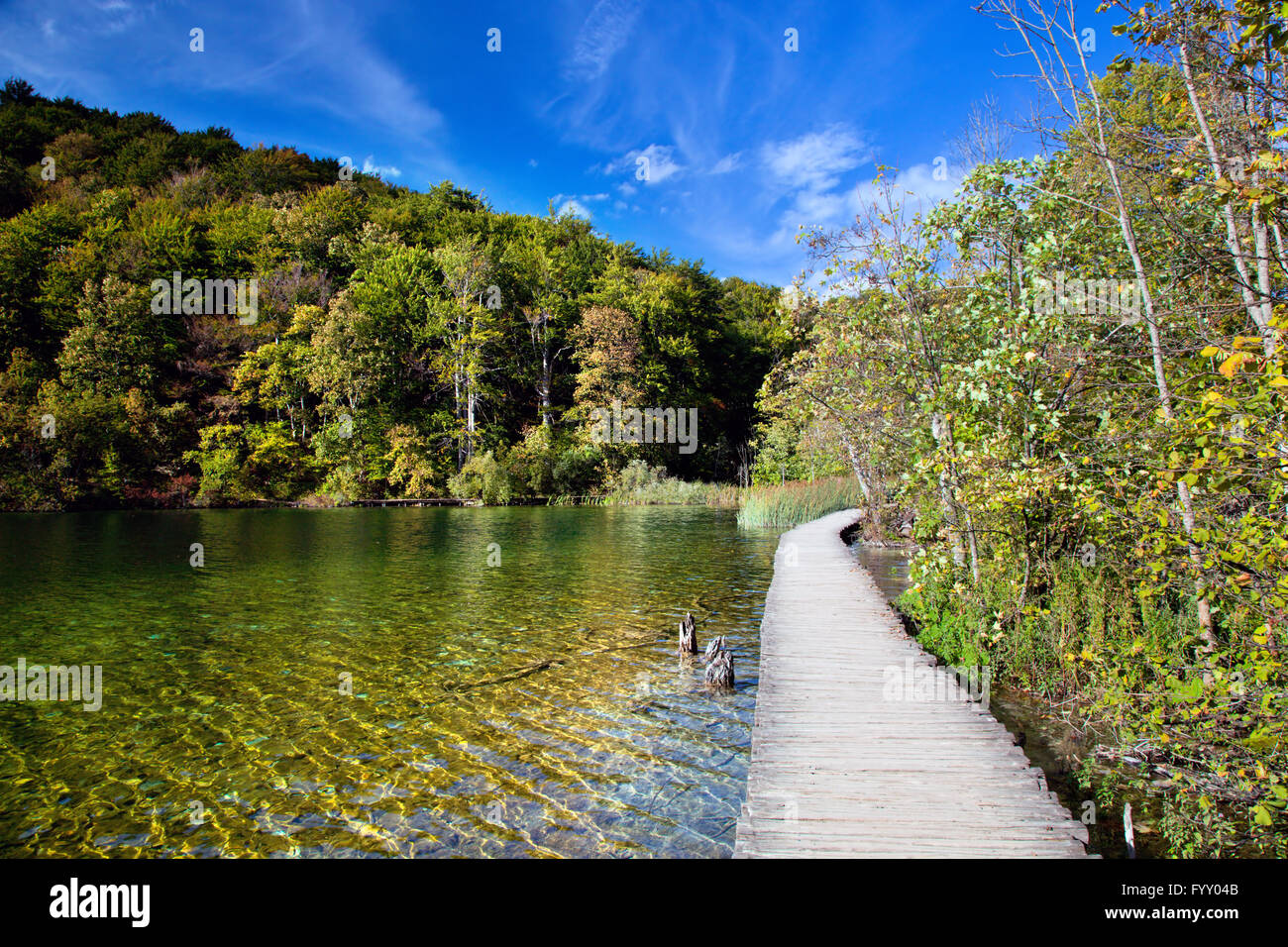 Clear water lake in green hi res stock photography and images Alamy Clear water lake in green hi res stock photography and images Alamy