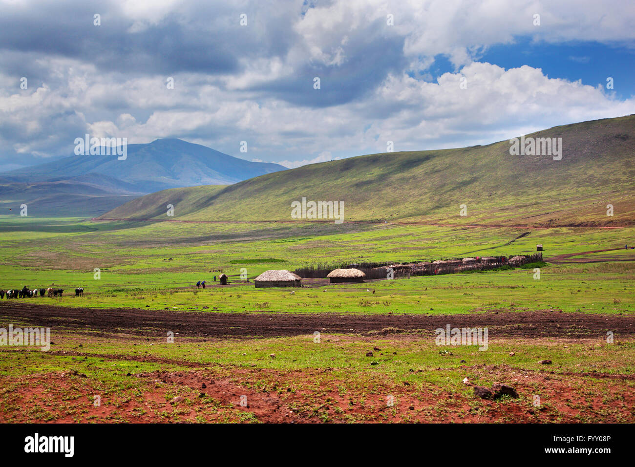 African savannah landscape beautiful hi-res stock photography and ...
