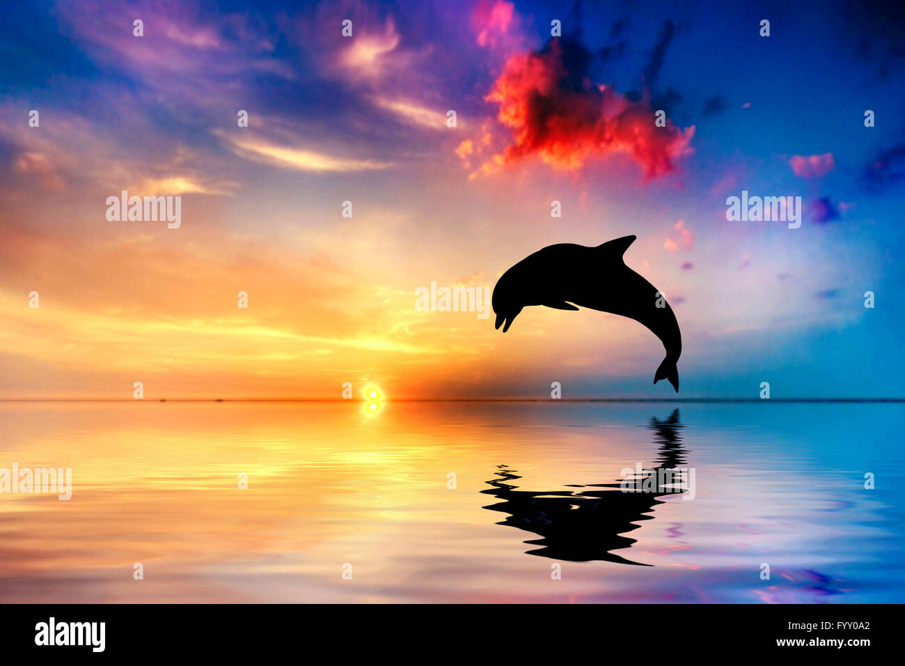Beautiful ocean and sunset, dolphin jumping Stock Photo