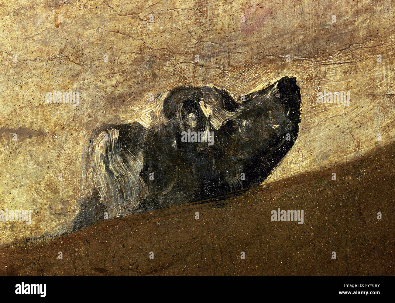 Francisco Goya Black Painting High Resolution Stock Photography and