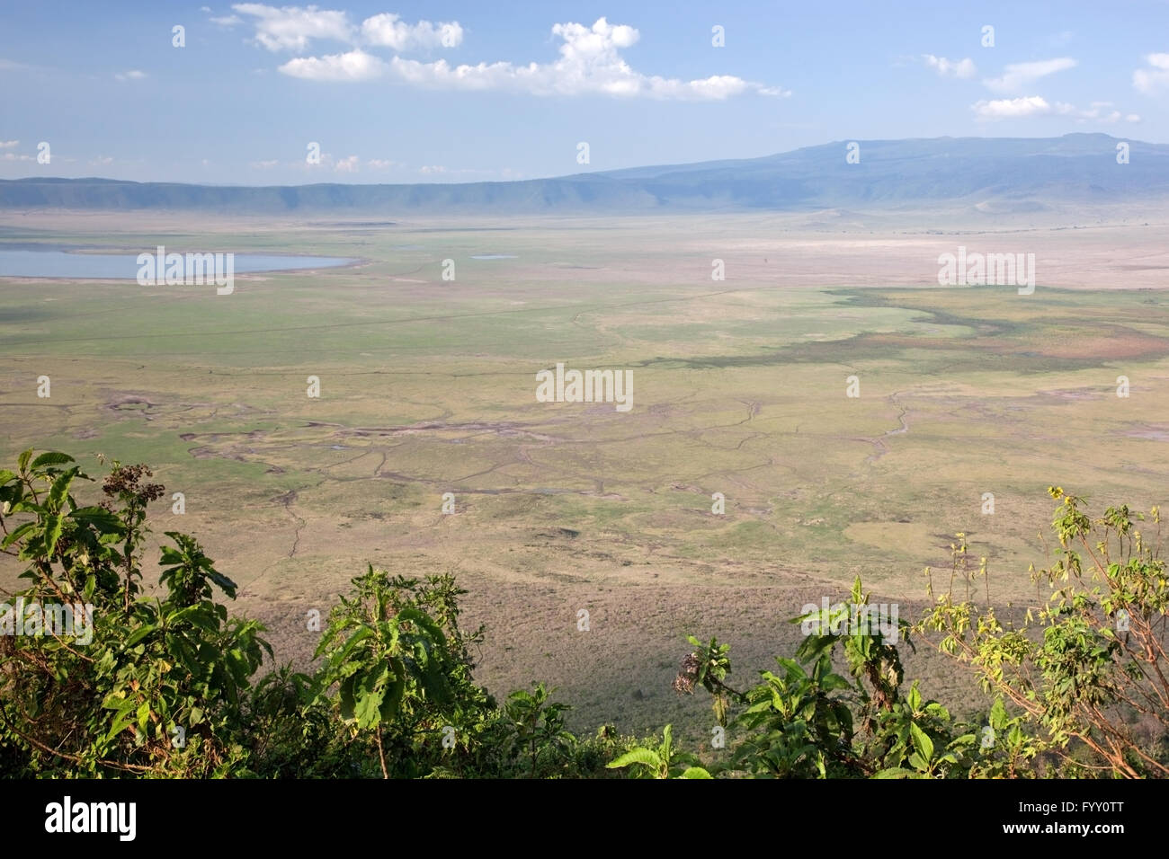 Ngorongoro crater in Tanzania Stock Photo