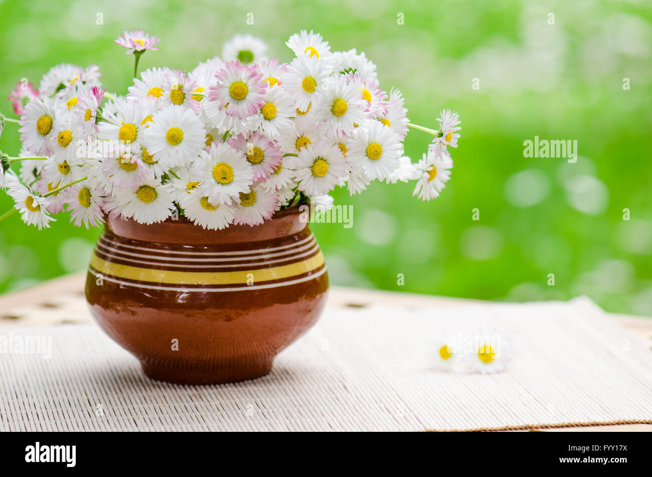 A bouquet of daisies in a pot at the table Stock Photo Alamy