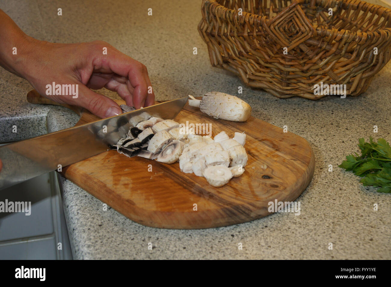 Cooking shaggy ink cap soup Stock Photo Alamy