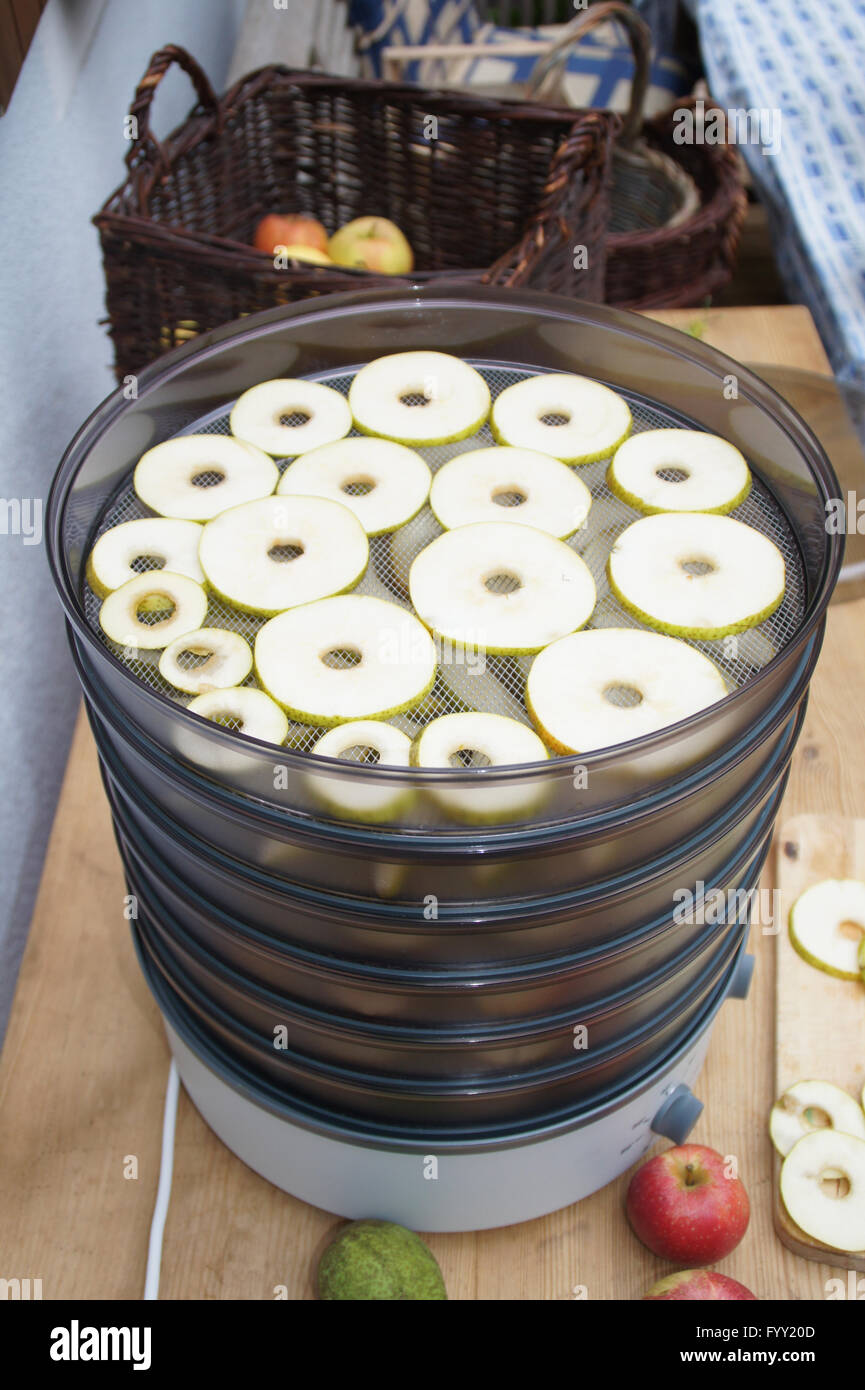 Drying fruits Stock Photo