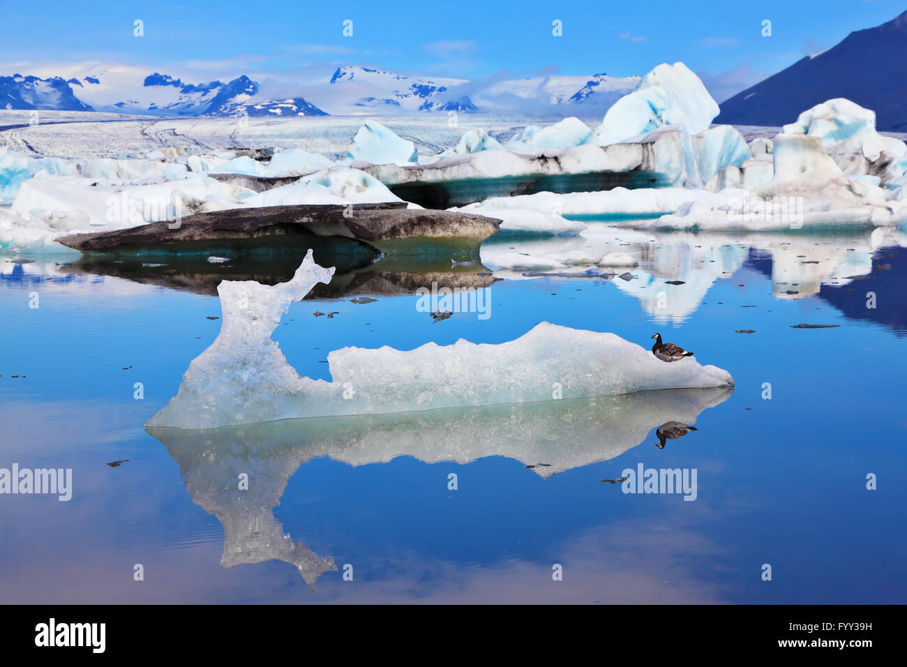 Ice Reflecting Rays The ice reflected in water Stock Photo - Alamy
