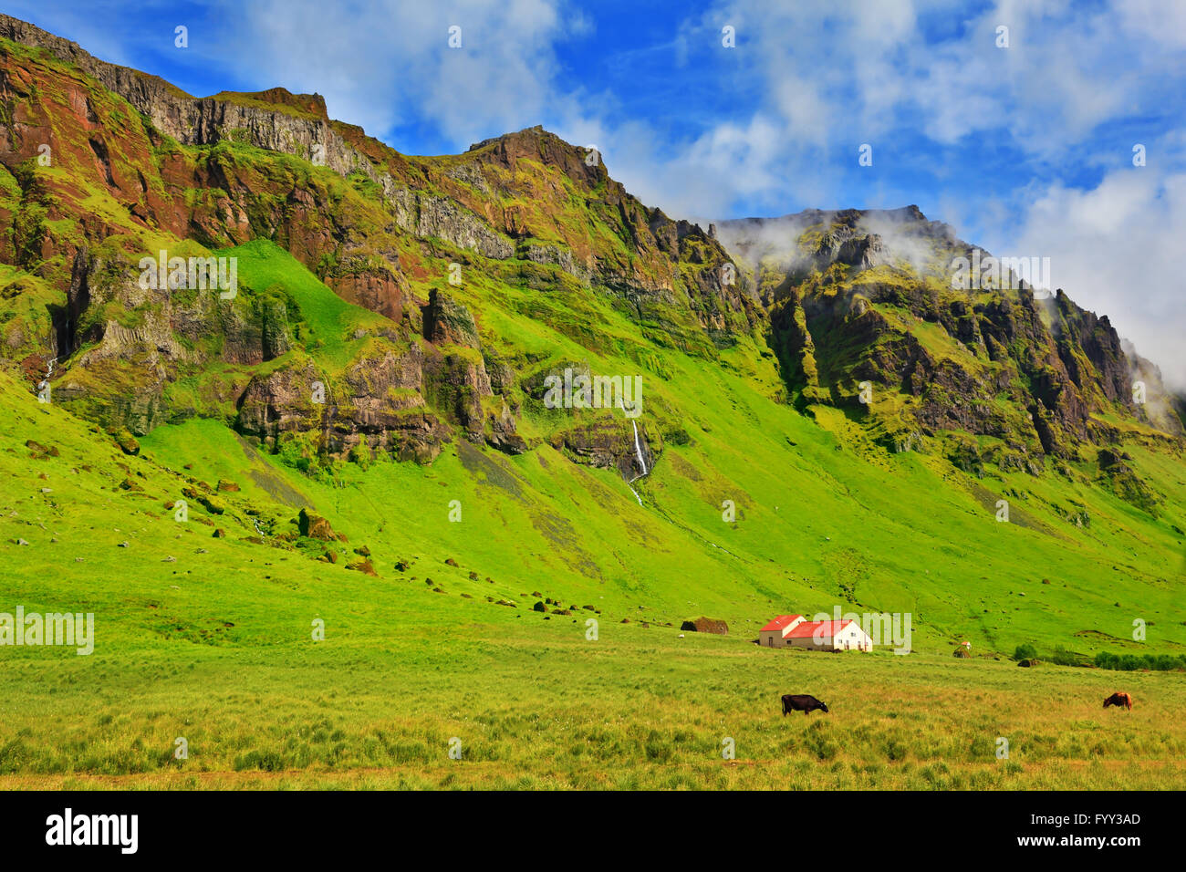 Bright green farm fields Stock Photo Alamy