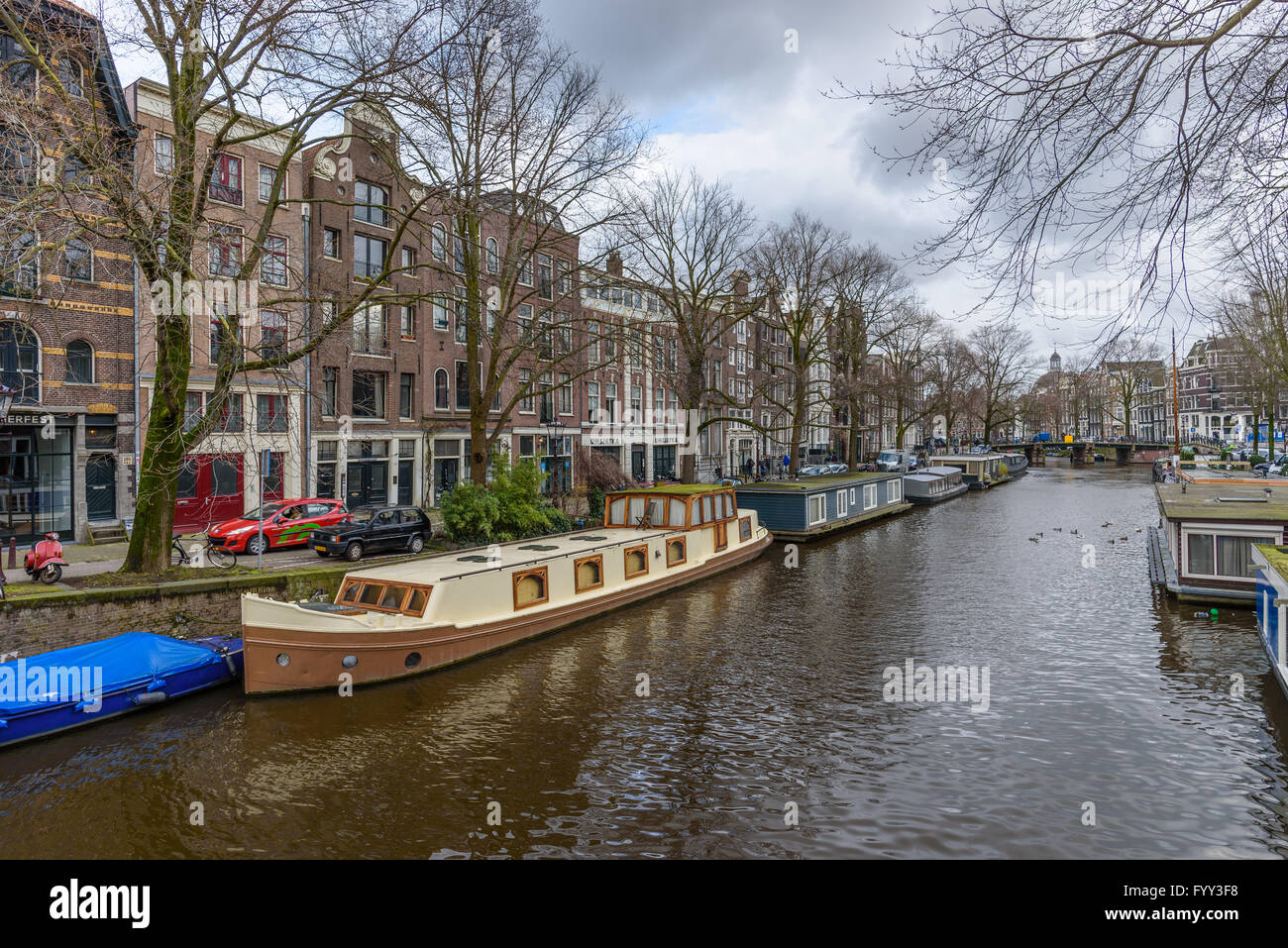 Single tree Stock Photo