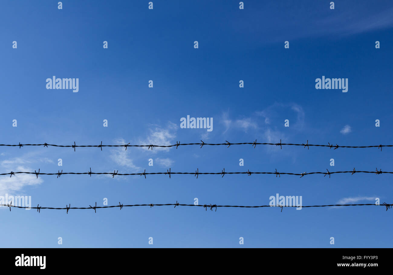 Barbed wire and blue sky with clouds Stock Photo - Alamy
