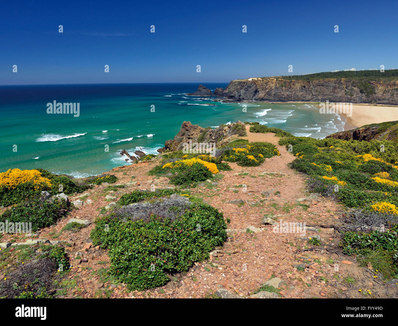 Portugal, Algarve:  Sea view from cliffs with coastal vegetation to natural beach Praia de Odeceixe Stock Photo