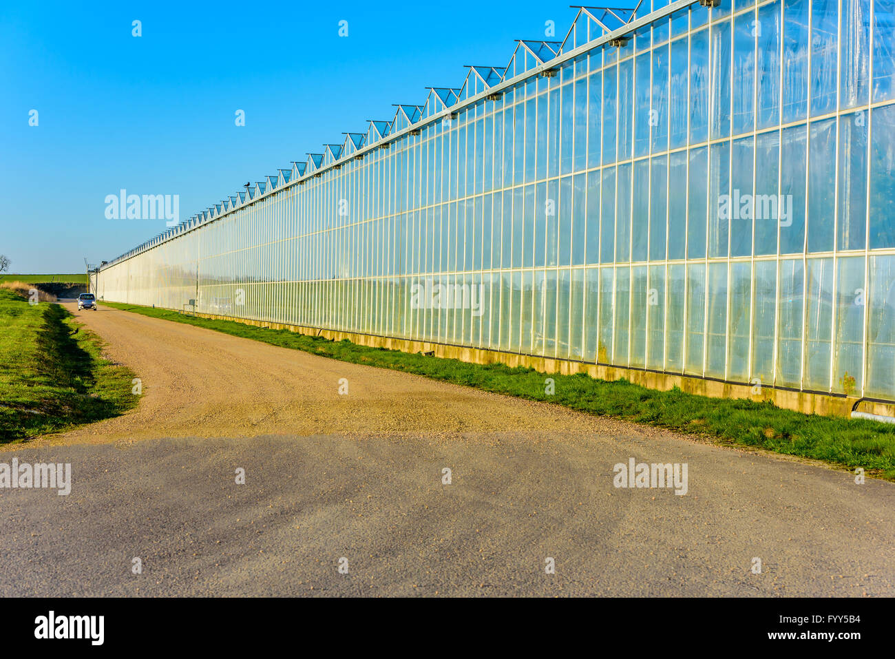The evening sunshine is making this greenhouse glow with a golden shimmer against a blue sky. Stock Photo