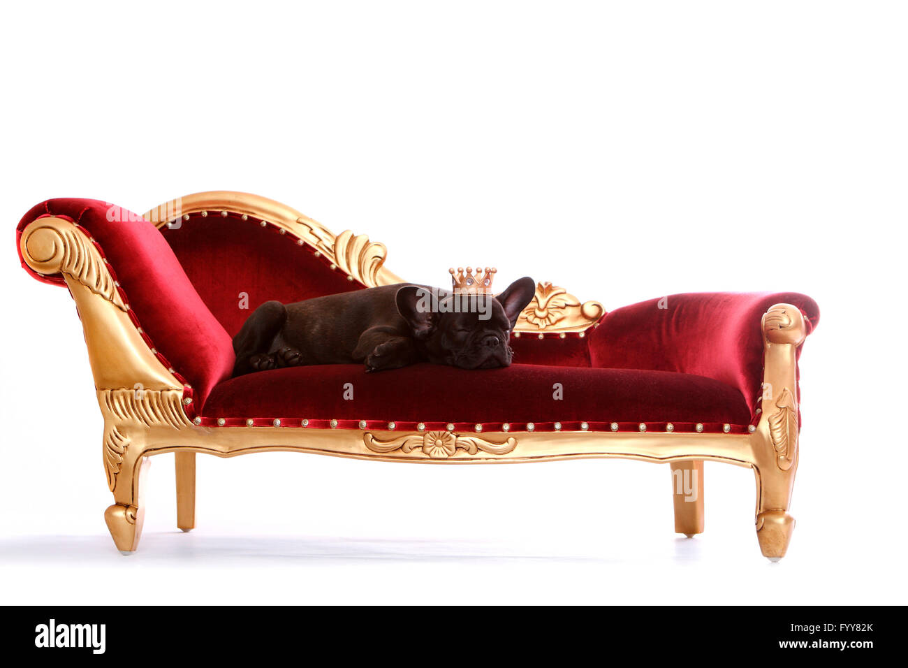 Charlotte perriand double chaise longue hi-res stock photography and images  - Alamy