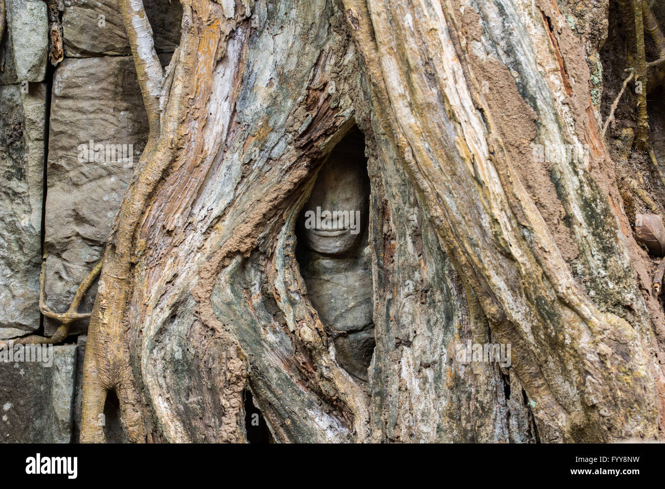 Hidden face tree hi-res stock photography and images - Alamy