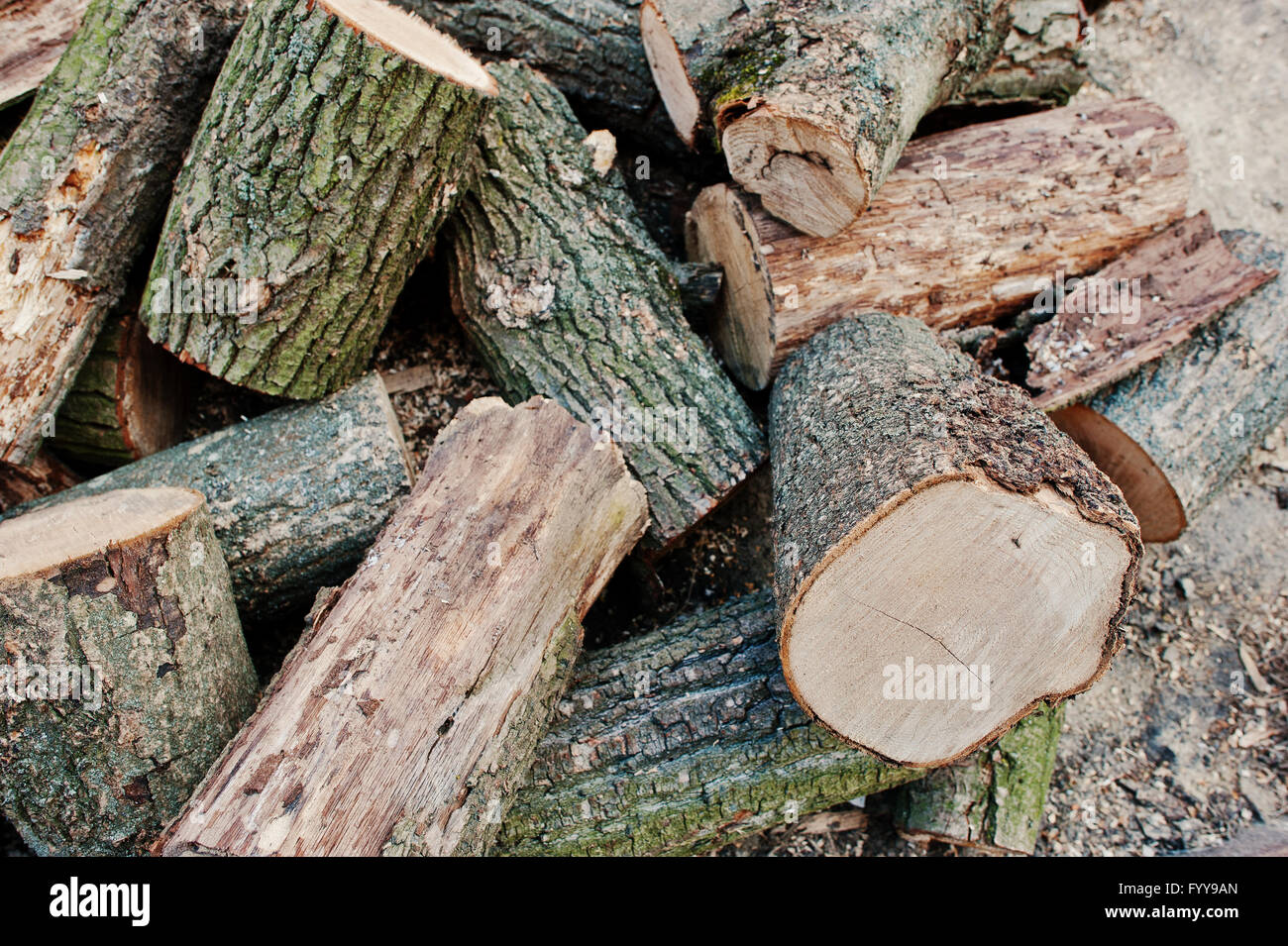 Axed tree hi-res stock photography and images - Alamy