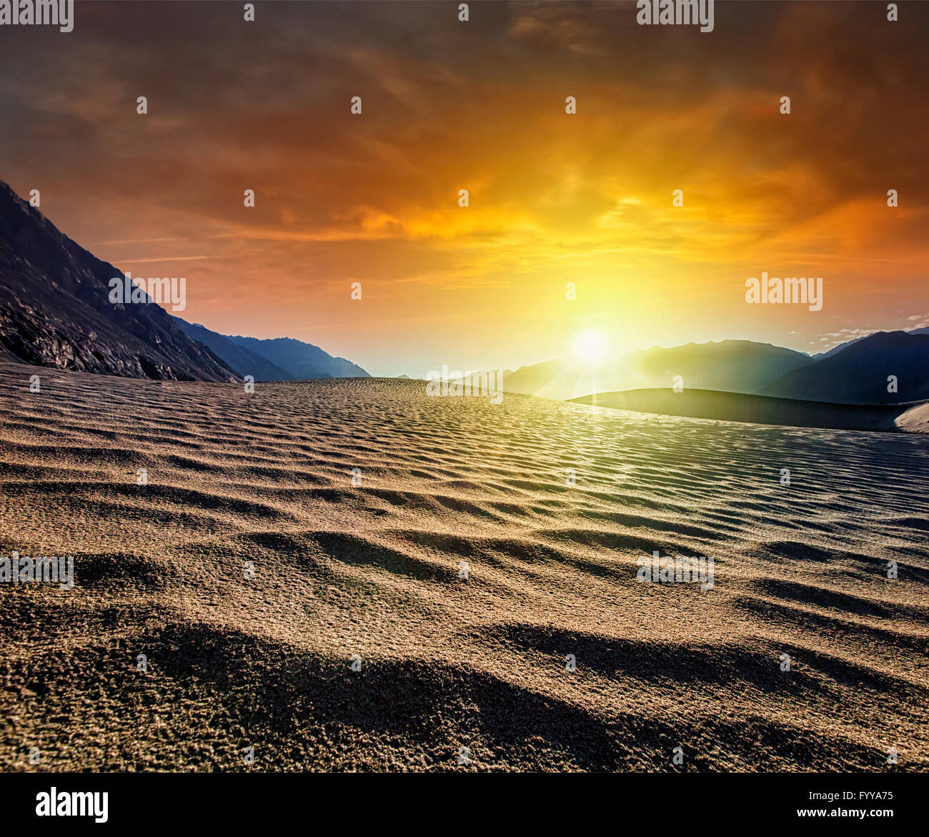 Sand dunes. Nubra valley, Ladakh, India Stock Photo