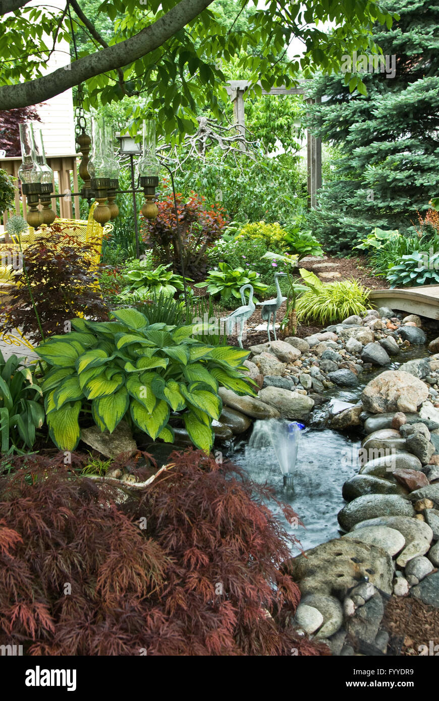 Garden with water feature and plants, hosta, Japanese maple, ornaments