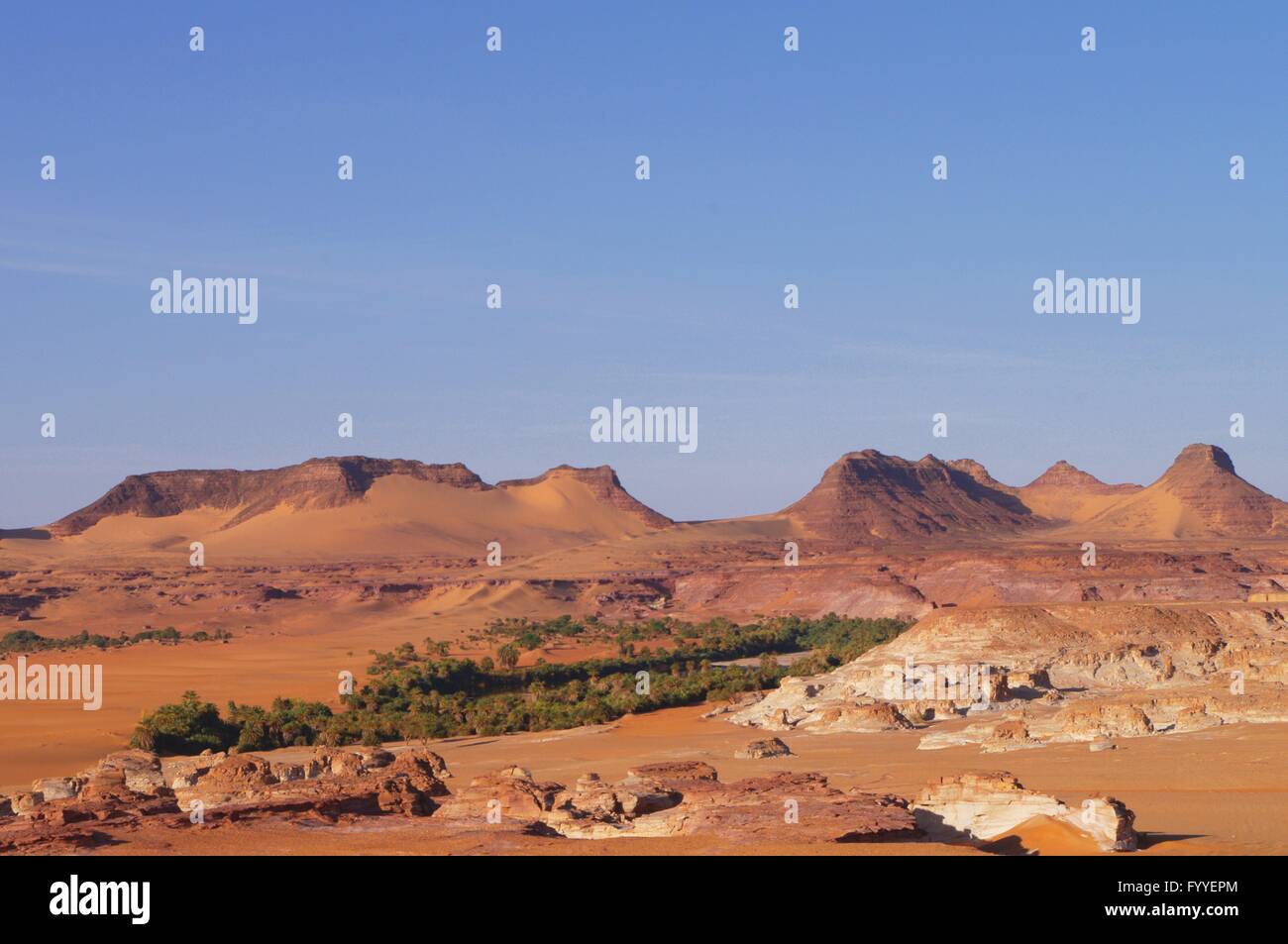 Degedei, a salt-oasis in the Sahara desert in the Ouanianga region - 26 October 2012 Stock Photo