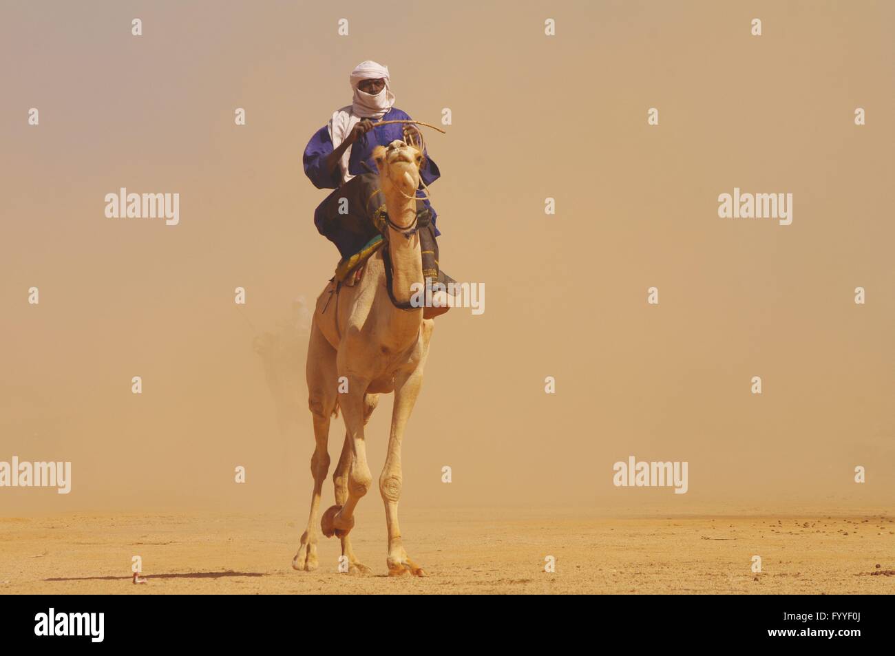 the winner of a touareg camel-race in nothern Niger at the "Festival of