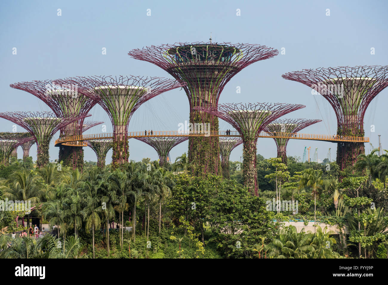 The Super Trees in Gardens by the Bay Nature Park, Singapore Stock