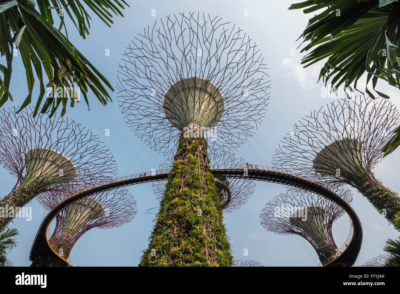 Nature park singapore hi-res stock photography and images - Alamy