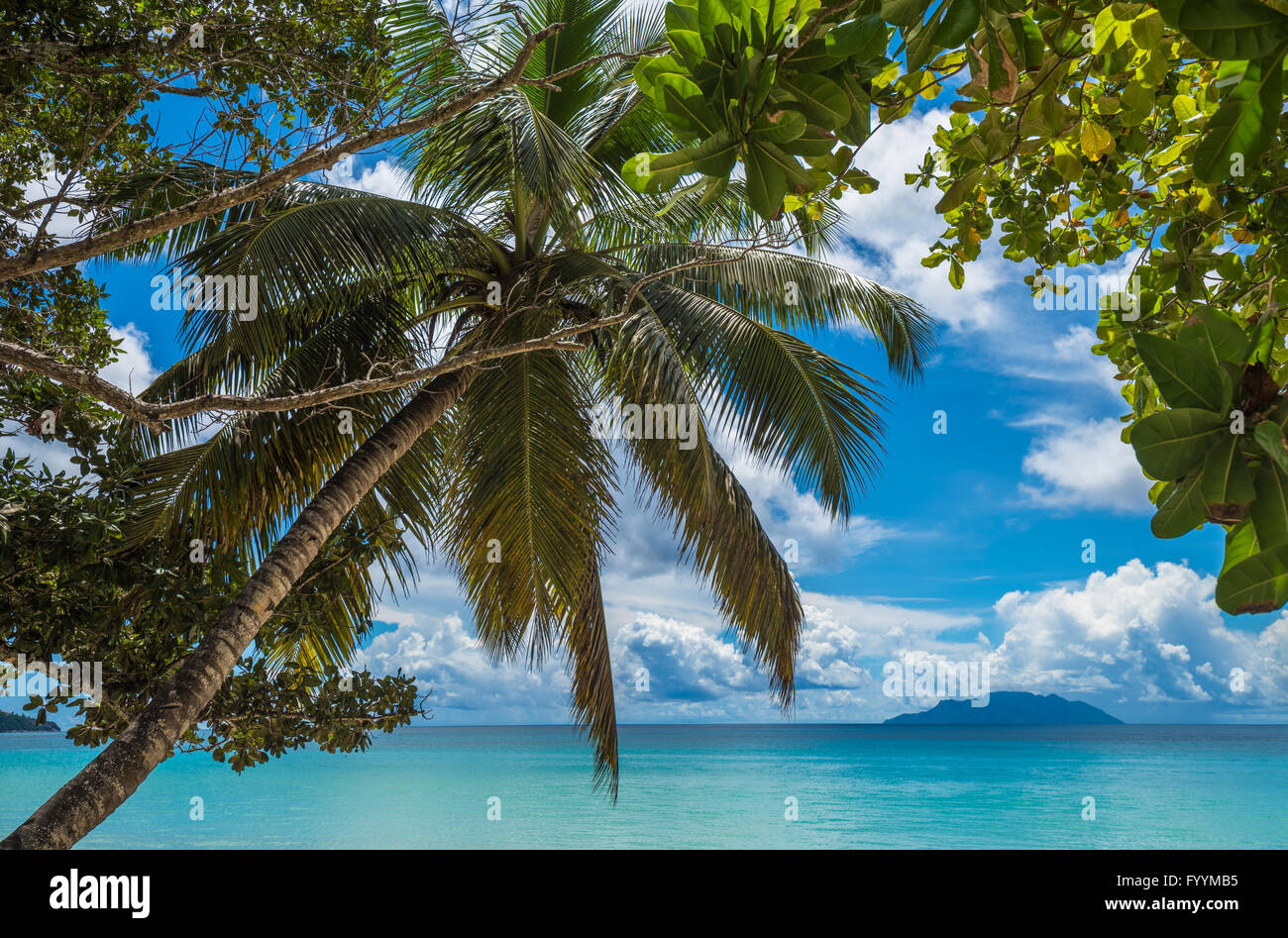 Anse Beau Vallon tropical beach, Mahe island, Seychelles Stock Photo