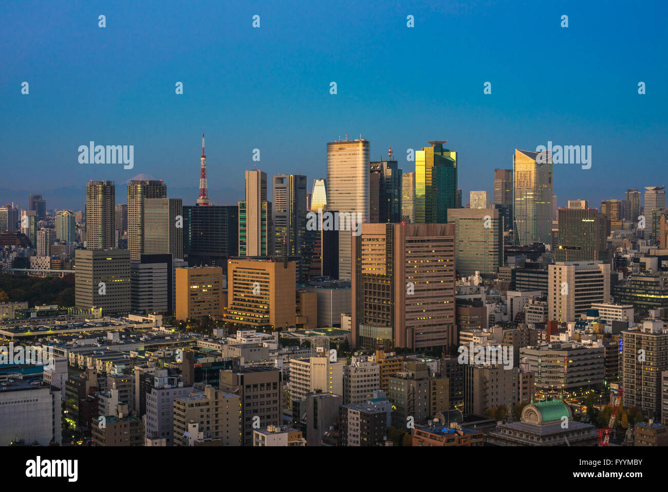 Tokyo aerial panoramic view at sunrise Stock Photo