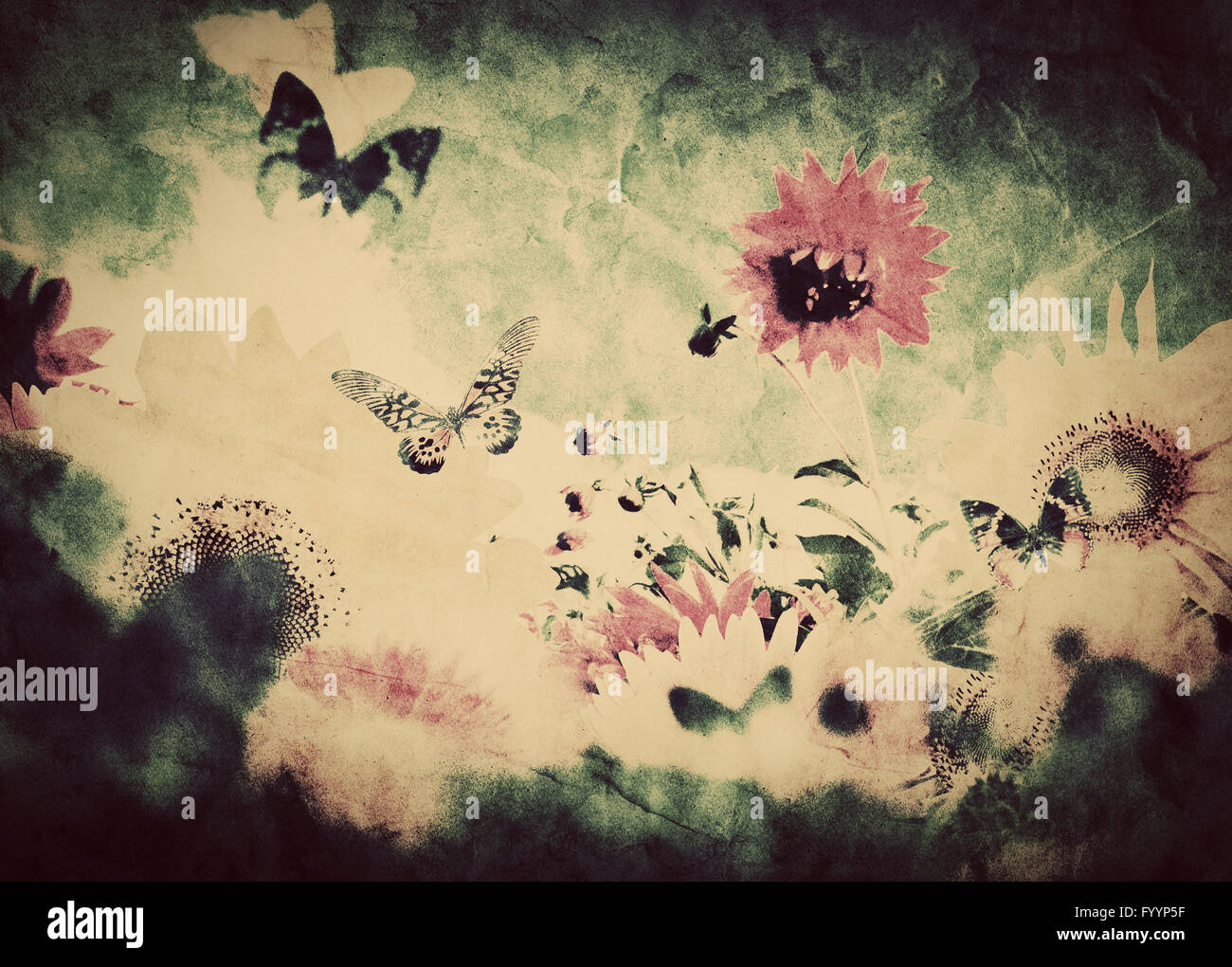 Garden butterflies hi-res stock photography and images - Alamy