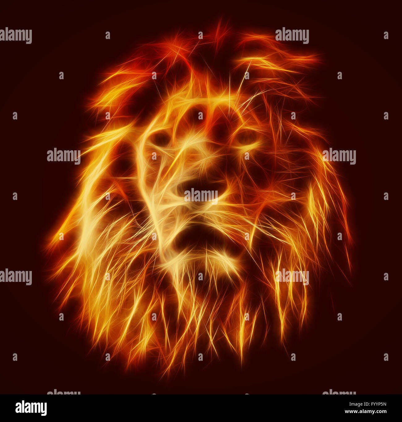 Lion portrait with rich mane on black Stock Photo