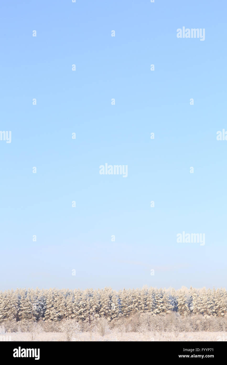 Frosted trees against a blue sky Stock Photo - Alamy